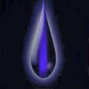 Meet your Posher, Tiffanie